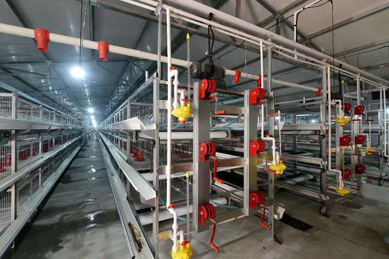 肉鸡装备喂料机为什么会梗塞？？