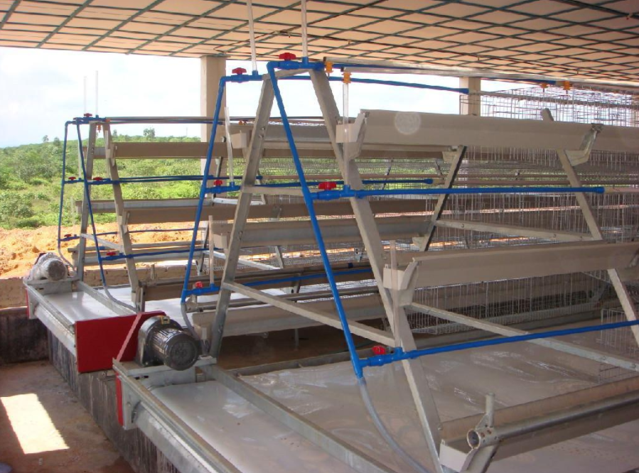 磨练全自动养鸡装备的清静有什么需要注重的事项吗？？？