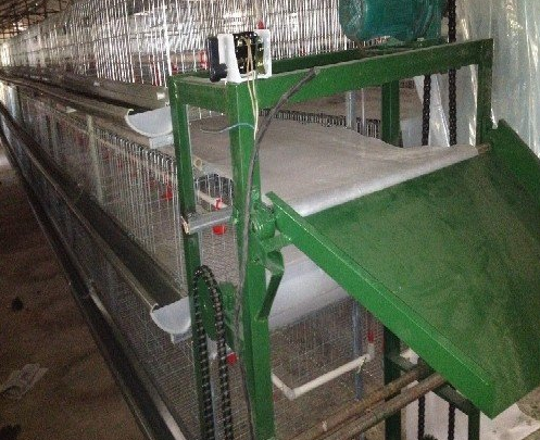 蛋鸡装备传送带式清粪机常见的这些问题你都知道吗？？？