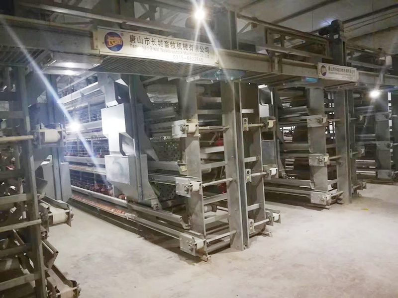 蛋鸡装备该怎样举行使用呢？