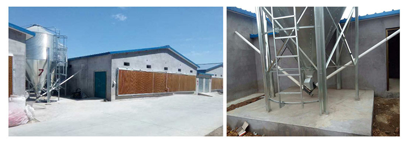 肉鸡自动送料系统