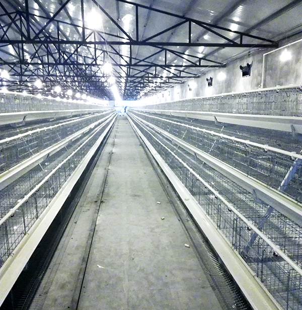 0029cc金沙贵宾会畜牧蛋鸡装备的手艺要求有哪些？？？