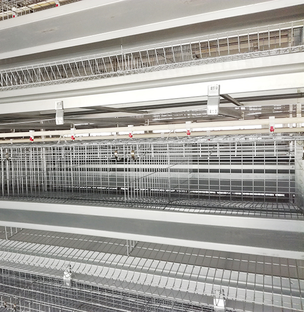 规；；远ψ氨傅闹卫碇贫